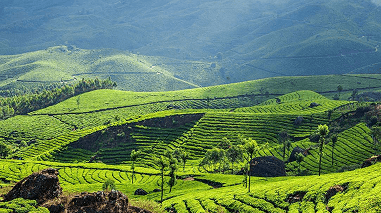 Munnar