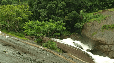 Thommankuthu