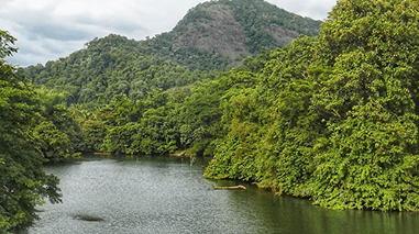 Thattekad Bird Sanctuary